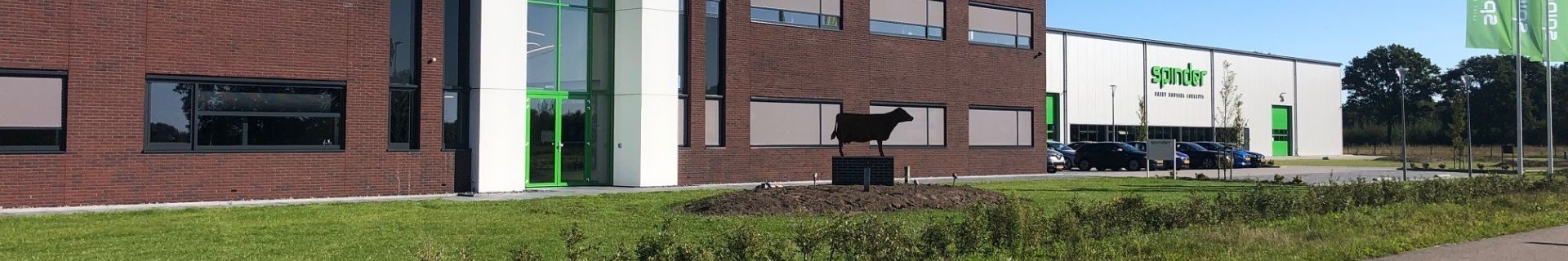 De Spinder koe staat op zijn nieuwe stek in Drachten