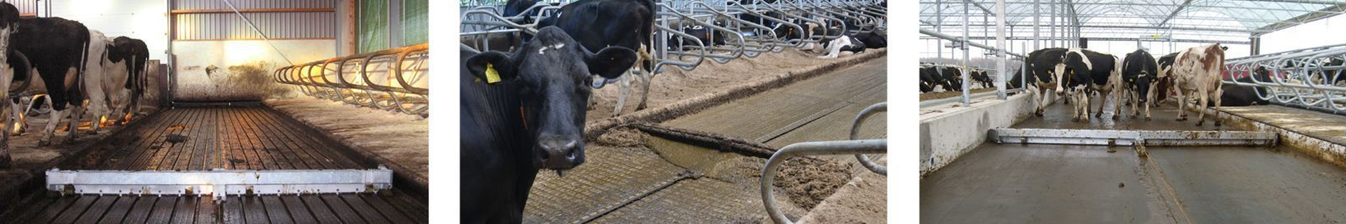 mestschuifinstallatie-combischuif-Spinder Dairy Housing Concepts