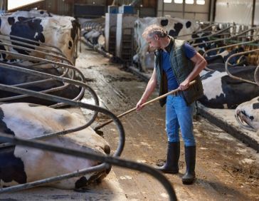 Flexibiliteit in de stal