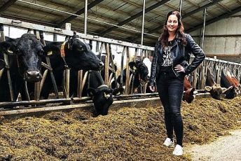 Marianne Deelstra uit Reitsum kiest voor Spinder stalinrichting