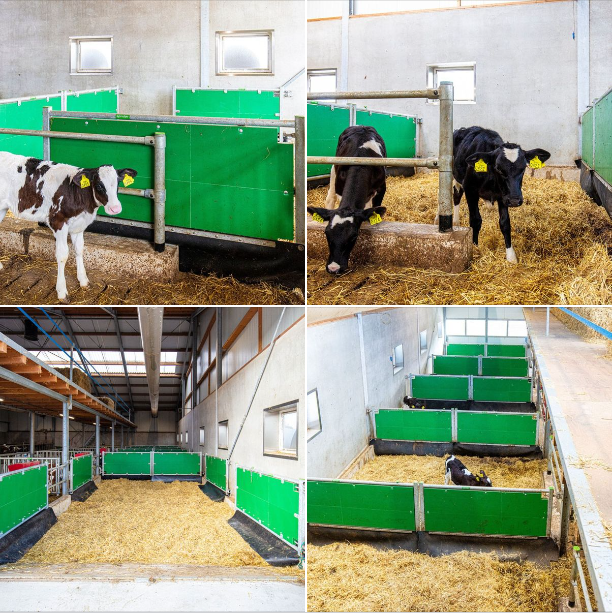 Spinder Dairy Housing Concepts