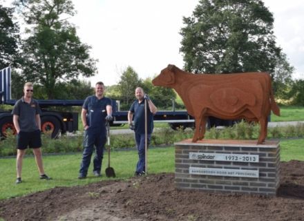 De Spinder koe staat op zijn nieuwe stek in Drachten