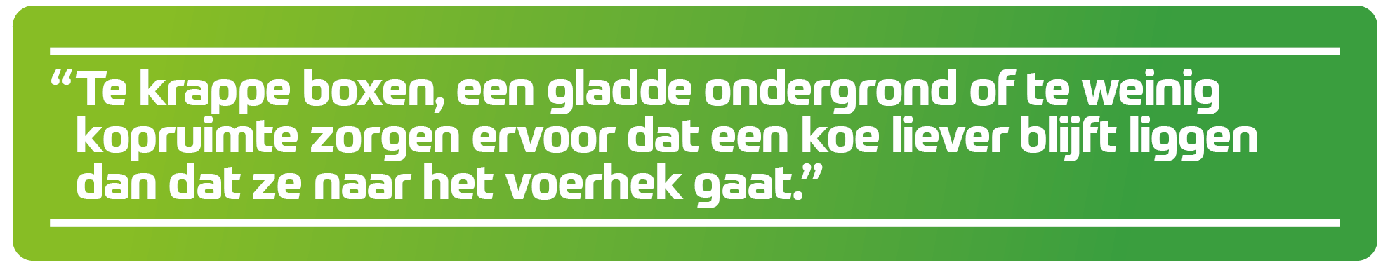 Quote Kees wanneer een koe liever blijft liggen