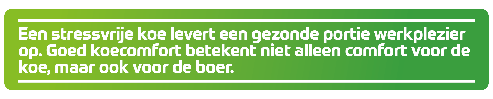 Koecomfort zorgt voor werkplezier