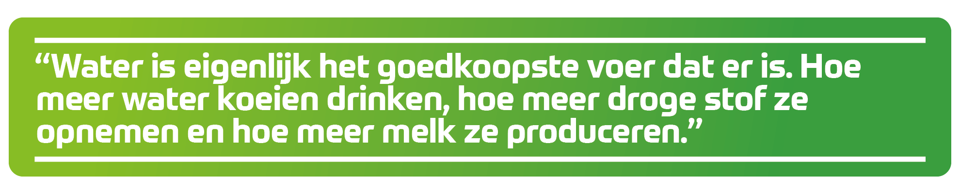 "Water is eigenlijk het goedkoopste voer dat er is. Hoe meer water koeien drinken, hoe meer droge stof ze opnemen en hoe meer melk ze produceren."
