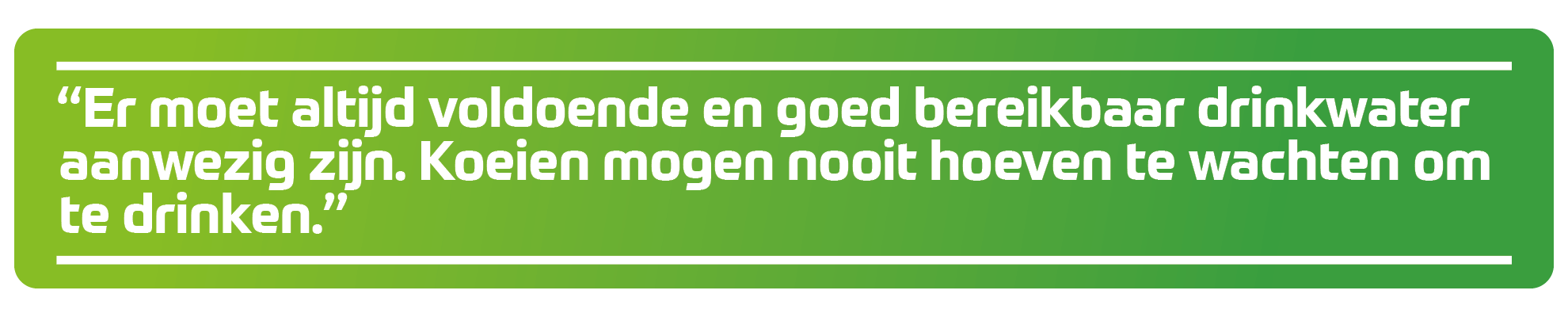 &ldquo;Er moet altijd voldoende en goed bereikbaar drinkwater aanwezig zijn. Koeien mogen nooit hoeven te wachten om te drinken.&rdquo;