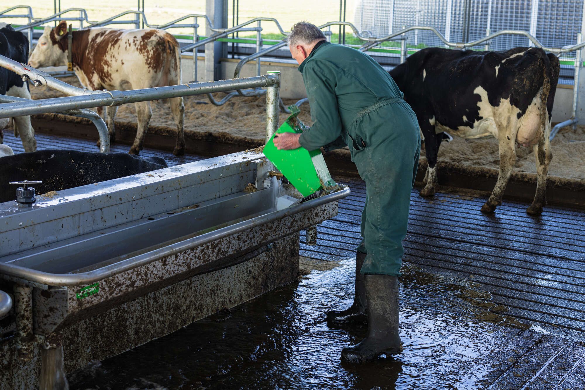 Pingo drinkbak schoonmaken
