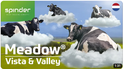 Meadow Vista & Meadow Valley video - NL