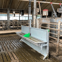 Pingo renovatie drinkbak naast de krachtvoerbox