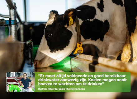Drinkgedrag melkvee: hittestress voorkomen