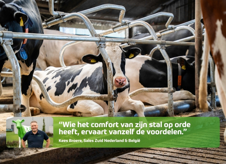 Huisvesting jongvee: de juiste stalinrichting voor gezonde groei