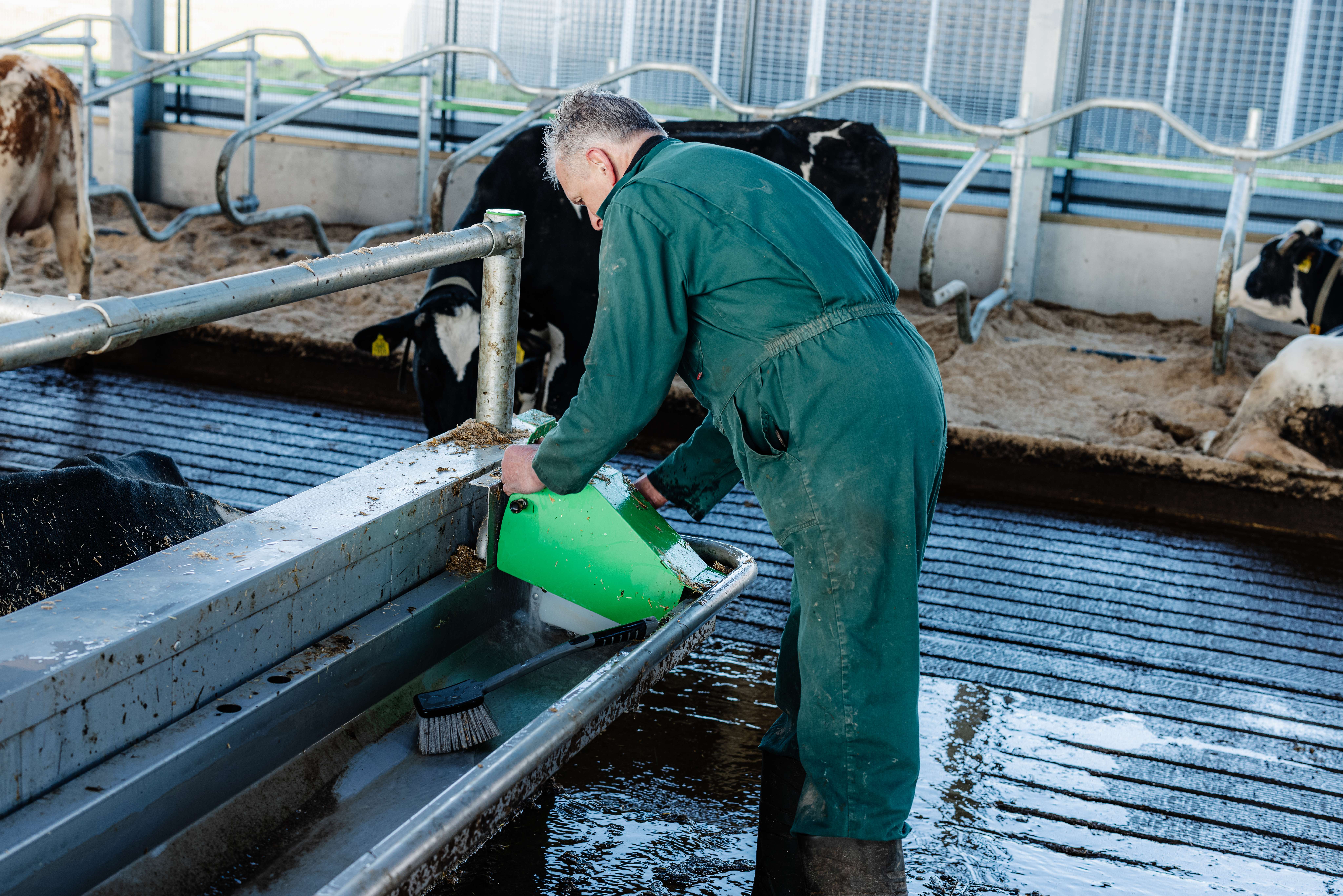 Pingo drinkbakken schoonmaken