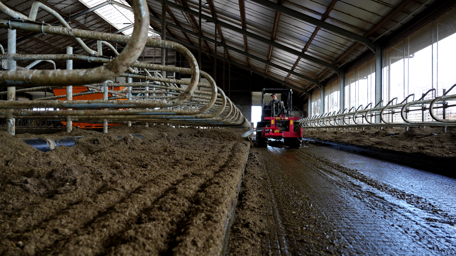 Gemakkelijk de zand of diepstrooisel ligboxen mechanisch vlakken en bijvullen met Spinder Vetvice ligboxen
