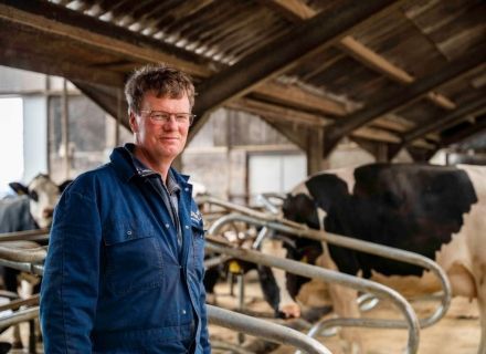 Renovatie droge koeien Kelder