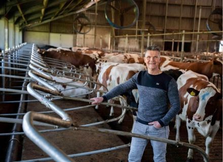 Renovatie droge koeien Klein Hegeman