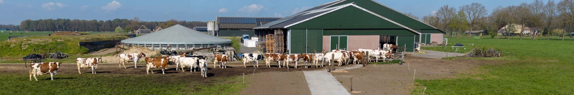 Renovatie droge koeien Klein Hegeman