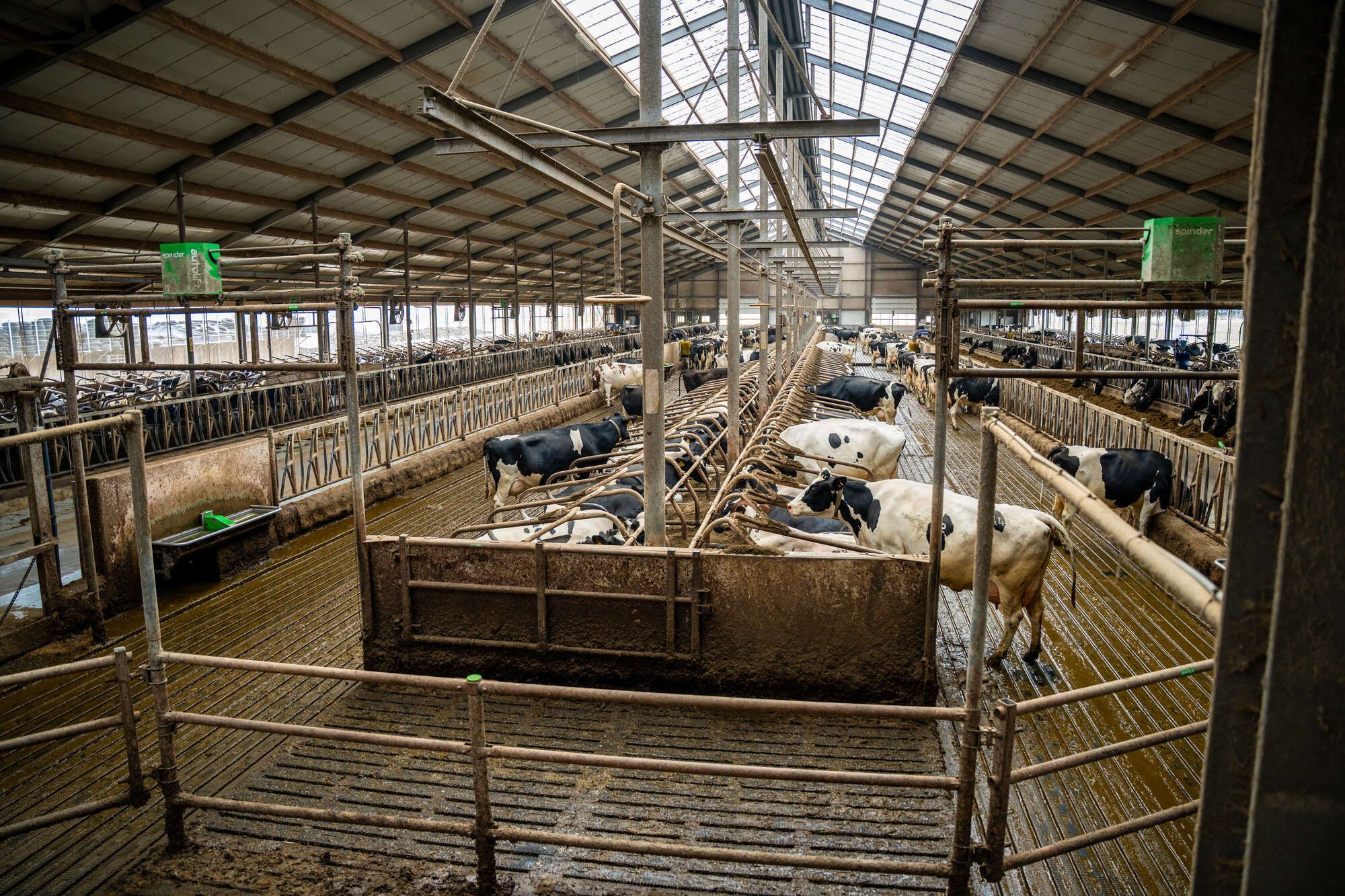 Maatschap Van der Wal Boornbergum