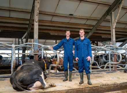 Melkveebedrijf Hoanster Vernooij-Bijstra, Hoornsterzwaag