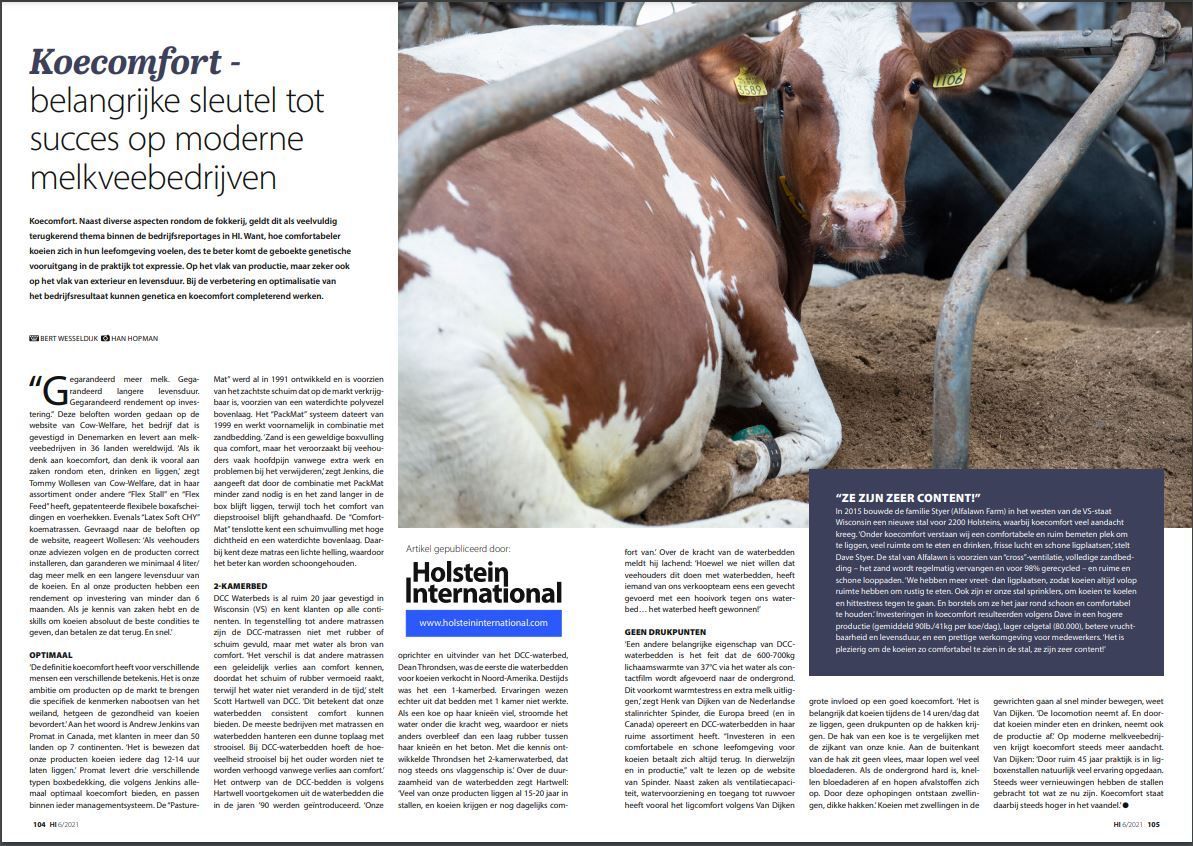 Holstein artikel